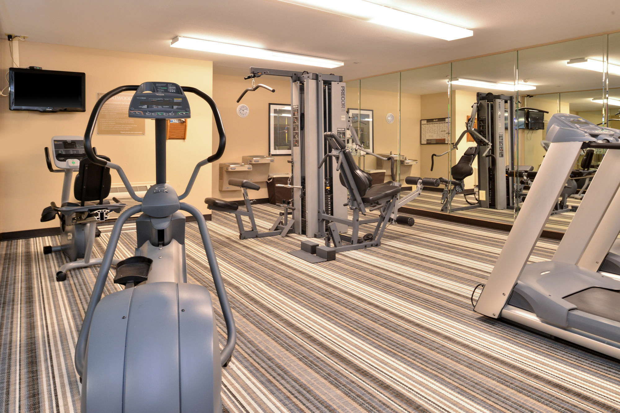 Candlewood Suites Charleston-Northwoods By Ihg North Charleston Ngoại thất bức ảnh